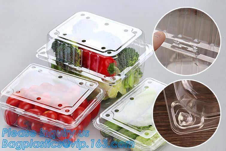 Blister large clear plastic fruit container with lid for fruit packaging,blister fruit box /container/ fruit Tray/ Clear