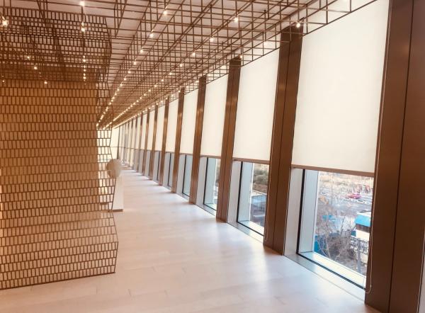 Quality Up And Down Custom Electric Blinds App Control For Window Decoration Eco - Friendly for sale