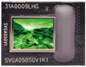 800×600 Resolution CMOS Process SMPTE 0.5 OLED Digital Display Module