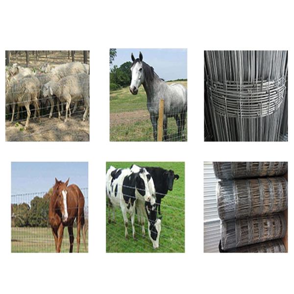 3.3×3.2×2.4m 3 Phase Grassland Fence Machine