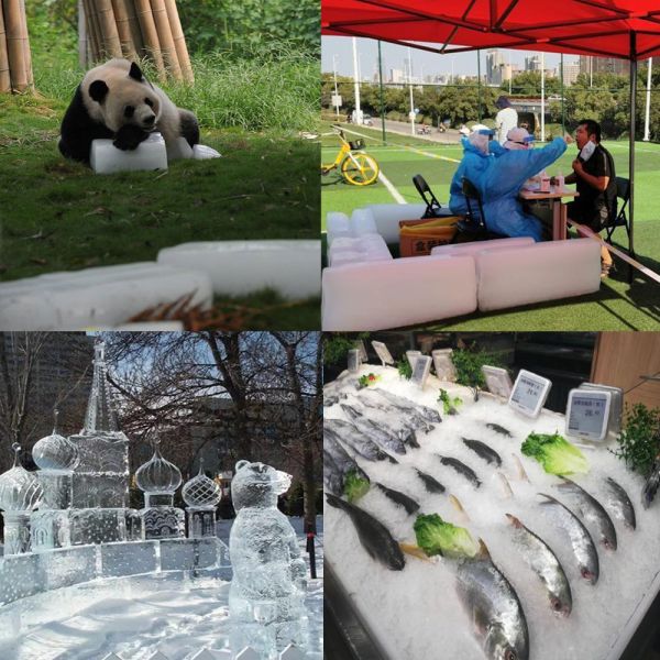 10 Tons Direct Type Ice Block Maker Machine