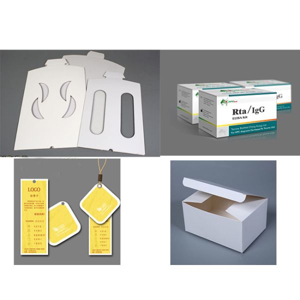 Double Side White Back Duplex Board 450gsm Paper For Printing Industry