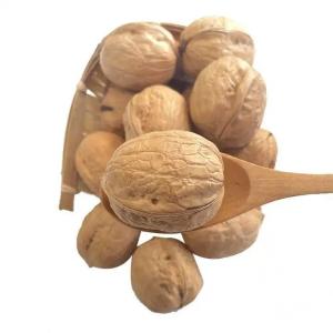 Buy cheap Fresh Raw Xinjiang 185 Walnut Light Amber Color In Shell Wholesale Price For Sale Amazon’s best-selling products product