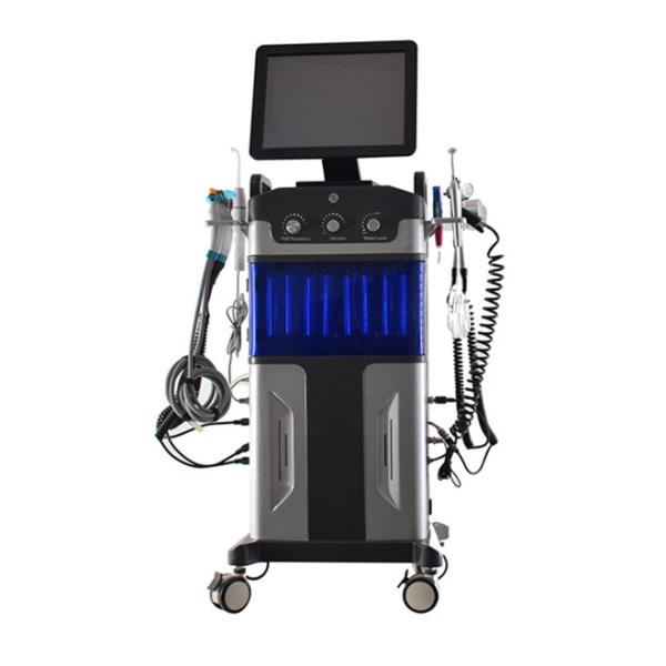 Quality Professional 12 in 1 Hydra Master Facial Care Skin Polishing hydro dermabrasion machine for sale