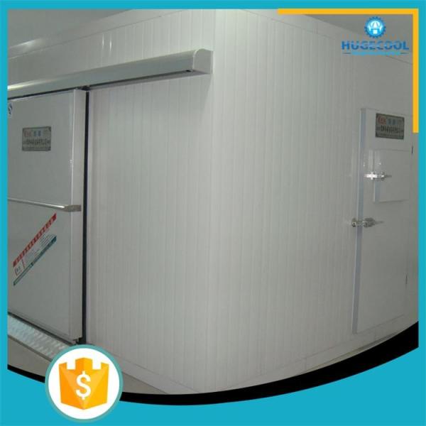 Quality flower fruits and vegetables used cold room for sale for sale