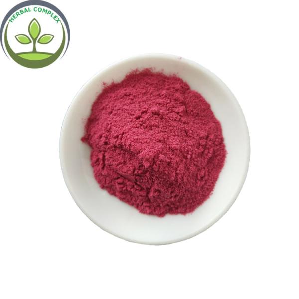 Quality black currant juice powder buy  best health benefits supplement products drink freeze dried blackcurrant powder for sale