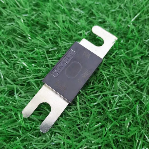 Flat Plug Low Voltage Fuse , DC150V Electric Wood Shell Time Lag Fuse