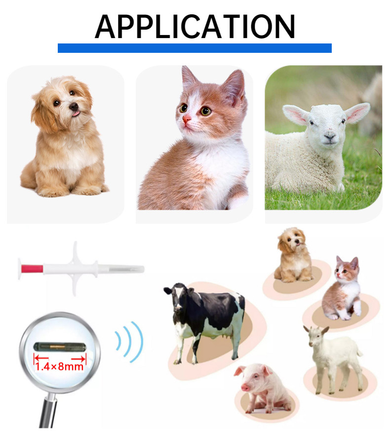 Injectable Transponders 134.2khz Pet ID Microchip Transponder With Implant Syringe ISO Transponder Microchip