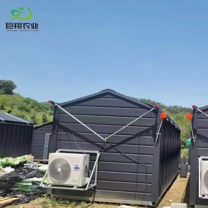 Shipping Container Leafy Vegetable Greenhouse
