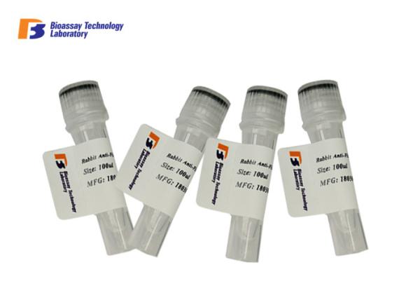 Quality Anti HDAC1 Mouse Monoclonal Antibody Affinity - Purified from Mouse Ascites for sale