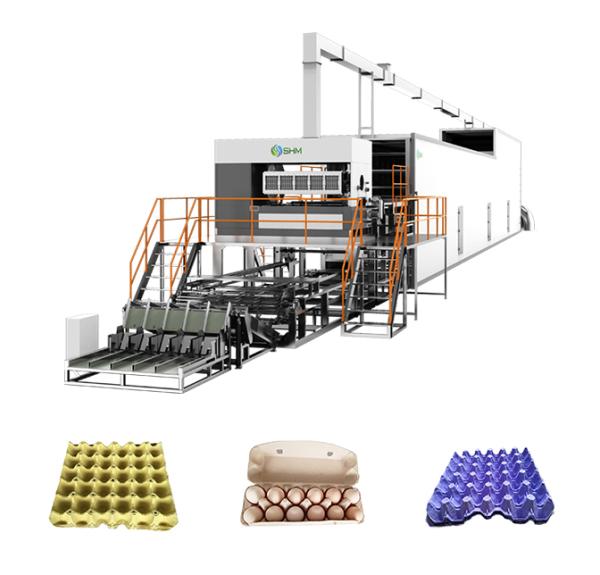 Quality Paper Pulp Egg Tray Maker Machine Fully Automatic 5000PCS/Hour for sale