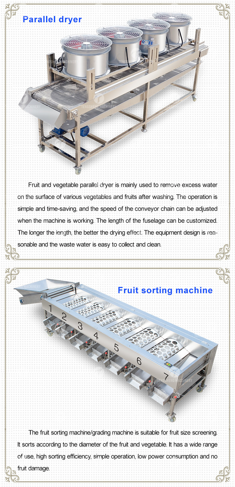Passion Fruit Bubble Cleaning And Drying Sorting Production Line