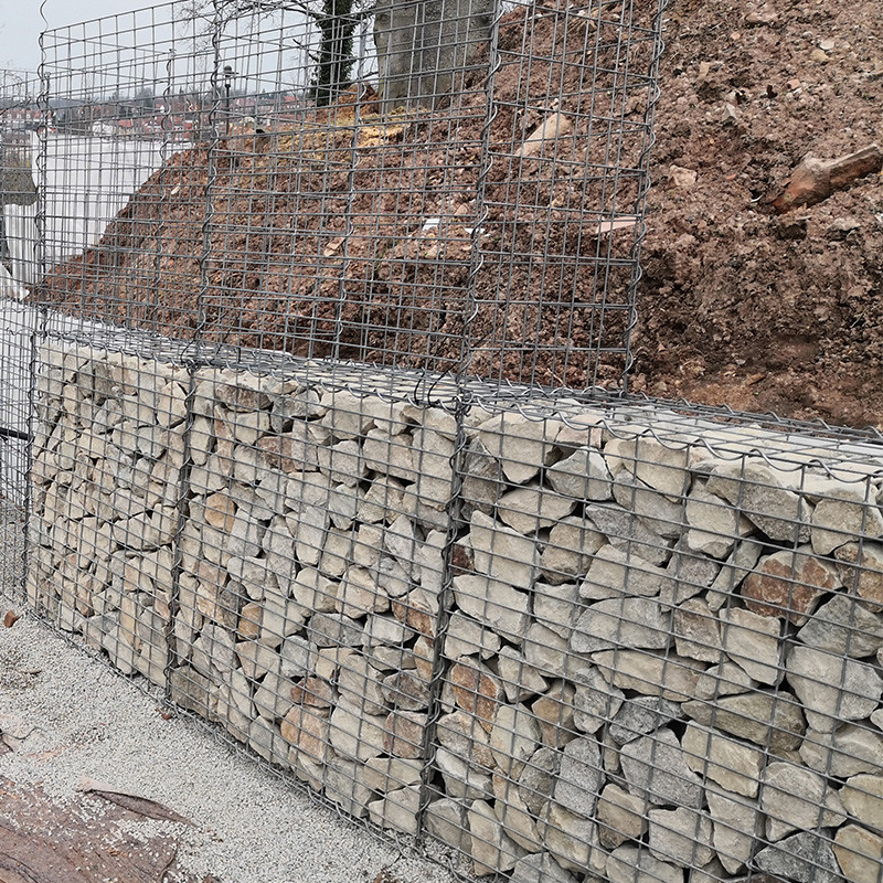 Rust Proof Welded Gabion Wire Mesh Modular Garden Screen Grid Vertical Plant Frame