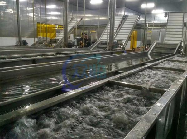 Quality Automatic Crayfish  Fruit And Vegetable Washing Machine Cassava Washing Machine for sale