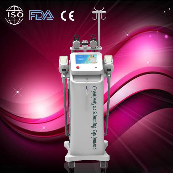 Quality Freeze Cryolipolysis Slimming Machine Touch Color Screen For Spa for sale