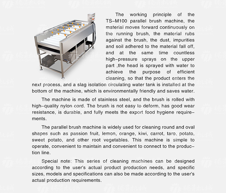 Revolutionize Your Production Process with Our Fruit And Vegetable Processing Line