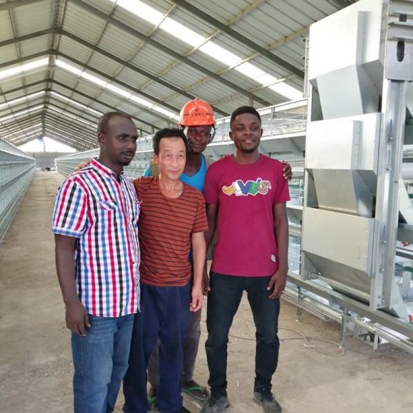 Laying Chicken Layer Egg Battery Cage System For Laying Hens