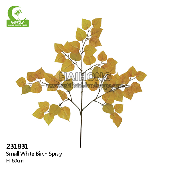 small white brich spray