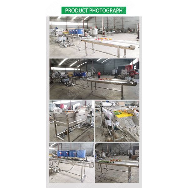 SS304 Vegetable And Fruit Washing Machine Mango Processing Line