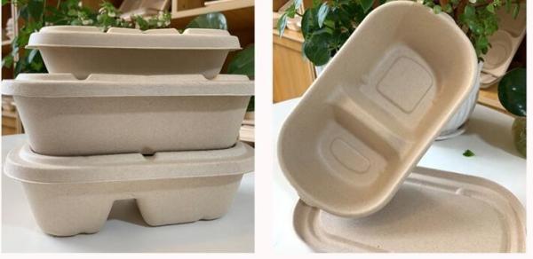 Quality 700ml Single And Double Compartment Takeaway Packaging Disposable Lunch Box for sale