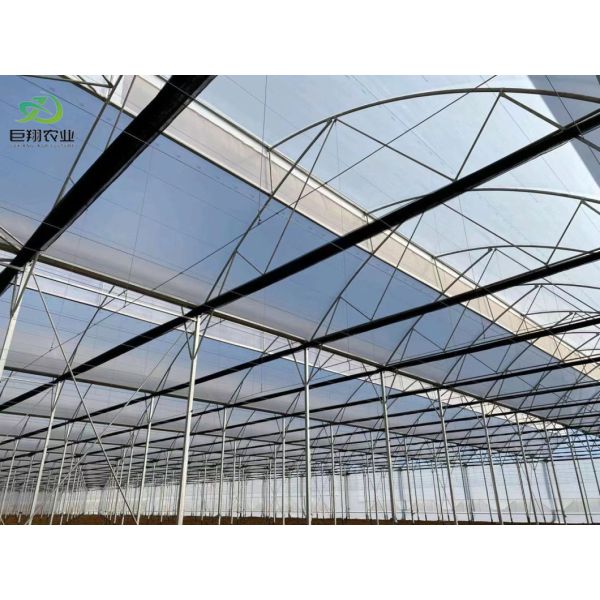 Agricultural Single-Span Tunnel Type Film Blackout Mushroom Greenhouse with Light Deprivation System for Medical Plants and Mushroom