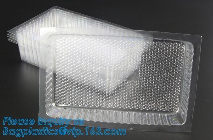 Blister large clear plastic fruit container with lid for fruit packaging,blister fruit box /container/ fruit Tray/ Clear