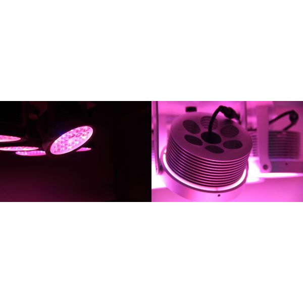 horticulture, agriculture, greenhouse, university research center led grow light plant growth lights, flowering cultiv