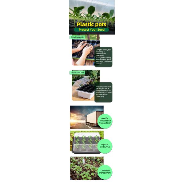 185g 36 Cell Round Honeycomb Succulent Seedling Tray Durable PE for Flower