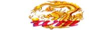 China Well Merit Industrial  Enterprise Limited logo