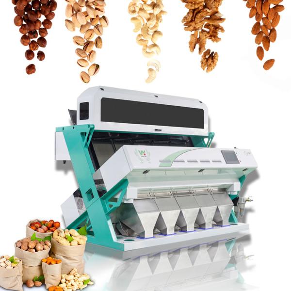 Quality Wenyao Cashew Nut Color Sorting Machine Automatic Intelligent Nuts Color Sorter for sale