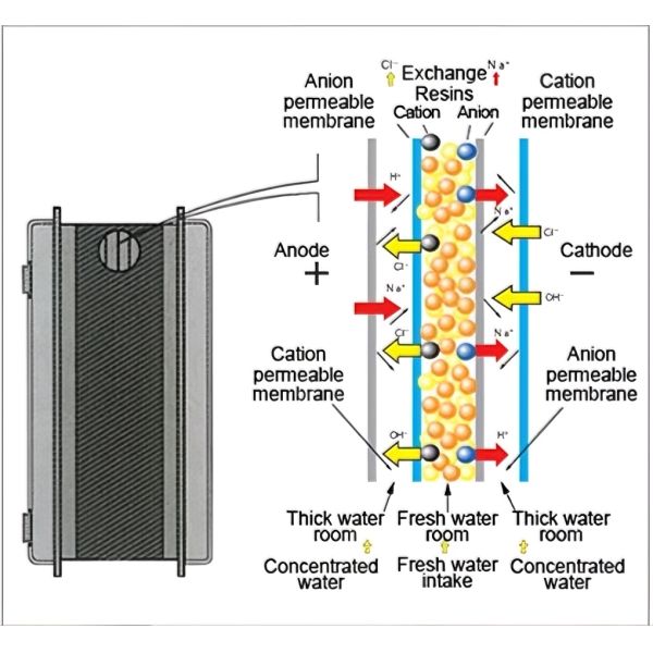 1500L/H EDI Ultrapure Water System Stainless Steel 304
