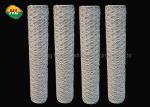 Lightweight Hexagonal Wire Netting Galvanized For Craft Projects