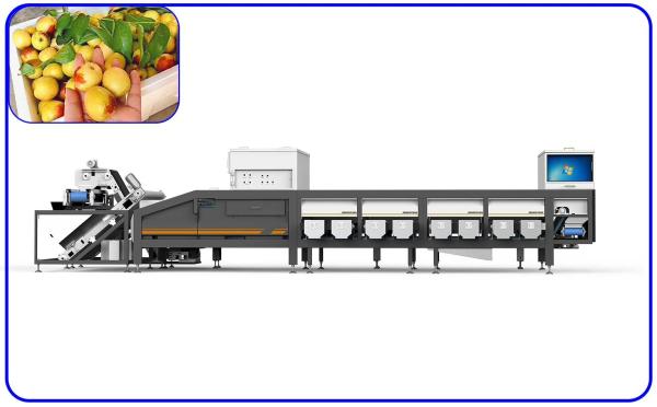 Quality High Speed Dates Sorting Machine Optical 6.3KW 380V 6 Lanes for sale