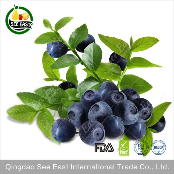 Quality Kosher Cretified Chinese Lyophilized Fruit Freeze Dried Blueberry for sale