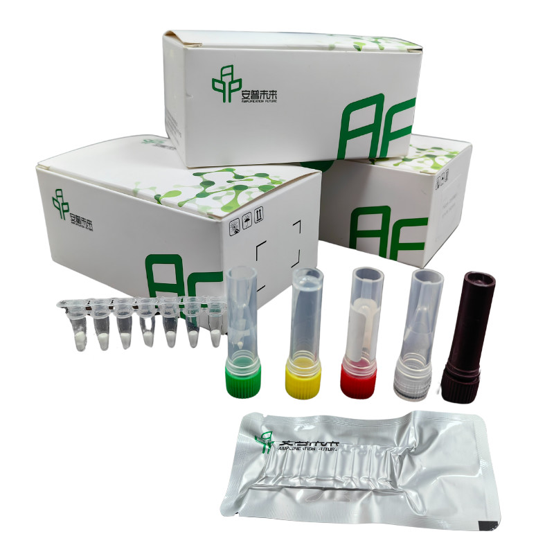 Shigella Pathogen Detection Kit with Exonuclease Isothermal Fluorescence