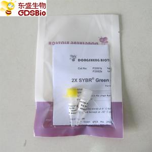 SYBR Green qPCR Mix high ROX+ for ABI DNA real time PCR