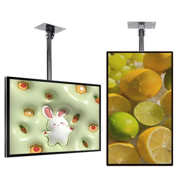 Quality 43 inch 178° Viewing Angle Wall Mounted Digital Signage with 4k Resolution and 8ms Response Time for sale