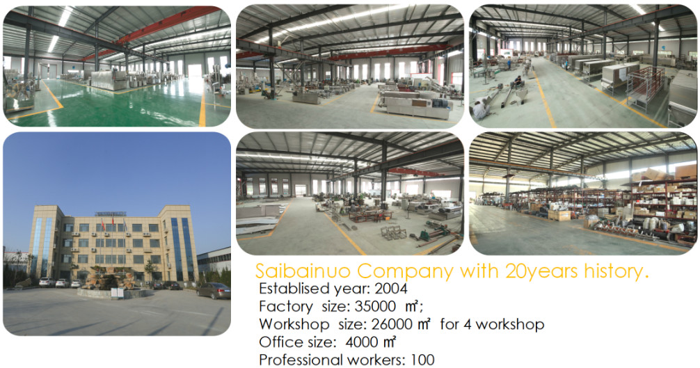 Large Capacity Twin Screw Fish Feed Processing Machine Extruder Full Automatic Fish Feed Production Line