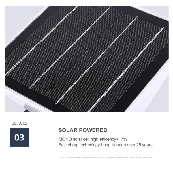 Outdoor Wall Mounted Solar Light , Solar body Induction Wall Lamp 3000k 6000k