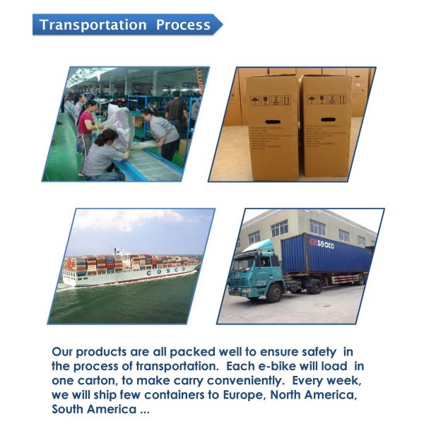 CE 24 Inch Pedal Assist Electric Bike , Womens Pedal Assist Bike 36V Brushless Motor V Brake