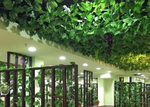 Buy cheap Plastic Simulation Tree Vine product