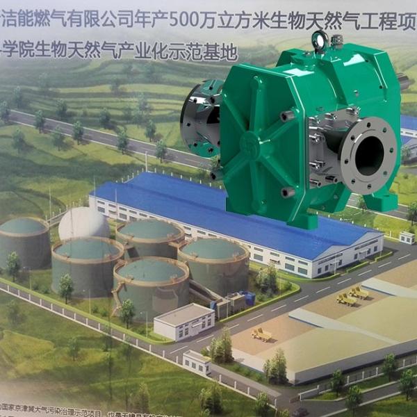 Quality 4 Bar Digester Feed Biogas Pump FKM Rubber Multipurpose Stable for sale