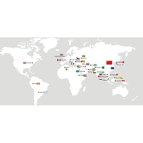 Irregular Shaped Automatic Sachet Packing Machine 4000BPH