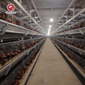 China Galvanized Poultry Broiler Cage Laminated Multi Level Chicken Coop on sale