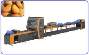 China 1 Channel Accurate Mango Fruit Sorting Machine Intelligent For Size And Quality on sale