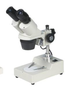 Fixed Magnification Stereo Microscope XTX-204B