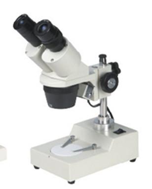 Quality Fixed Magnification Stereo Microscope XTX-204B for sale