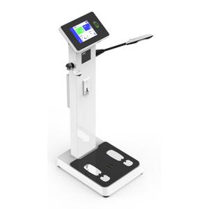 China hot selling factory price for the Body Fat Scale on sale