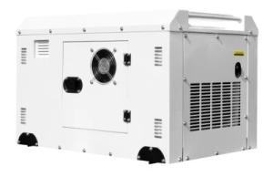 China Four Stroke Portable Diesel Generator With Single Phase Alternator on sale