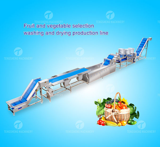 Multifunctional Fruit Sorting Machine Vegetable Washing Drying Production Line